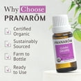 thumbnail image 5 of Pranarom Gumm Dropps Lavender Essential Oil for Teeth & Gum Health 15ml, 5 of 7