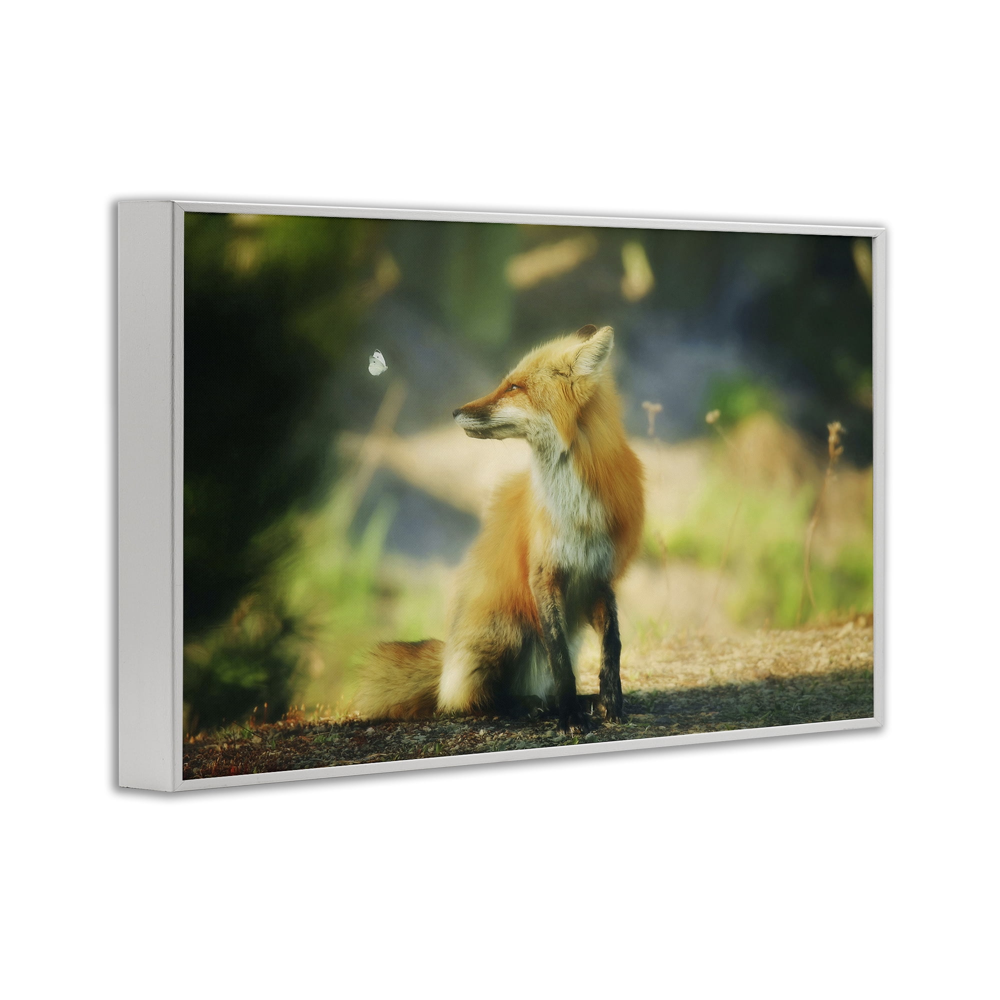 Stupell Industries Fox Kit & Butterfly Animals & Insects Photography White Framed Art Print Wall Art, 18 x 12