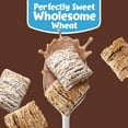 thumbnail image 3 of Kellogg's Frosted Mini-Wheats Breakfast Cereal, Kids Cereal, Family Breakfast, Family Size, Cocoa, 20oz Box, 3 of 14