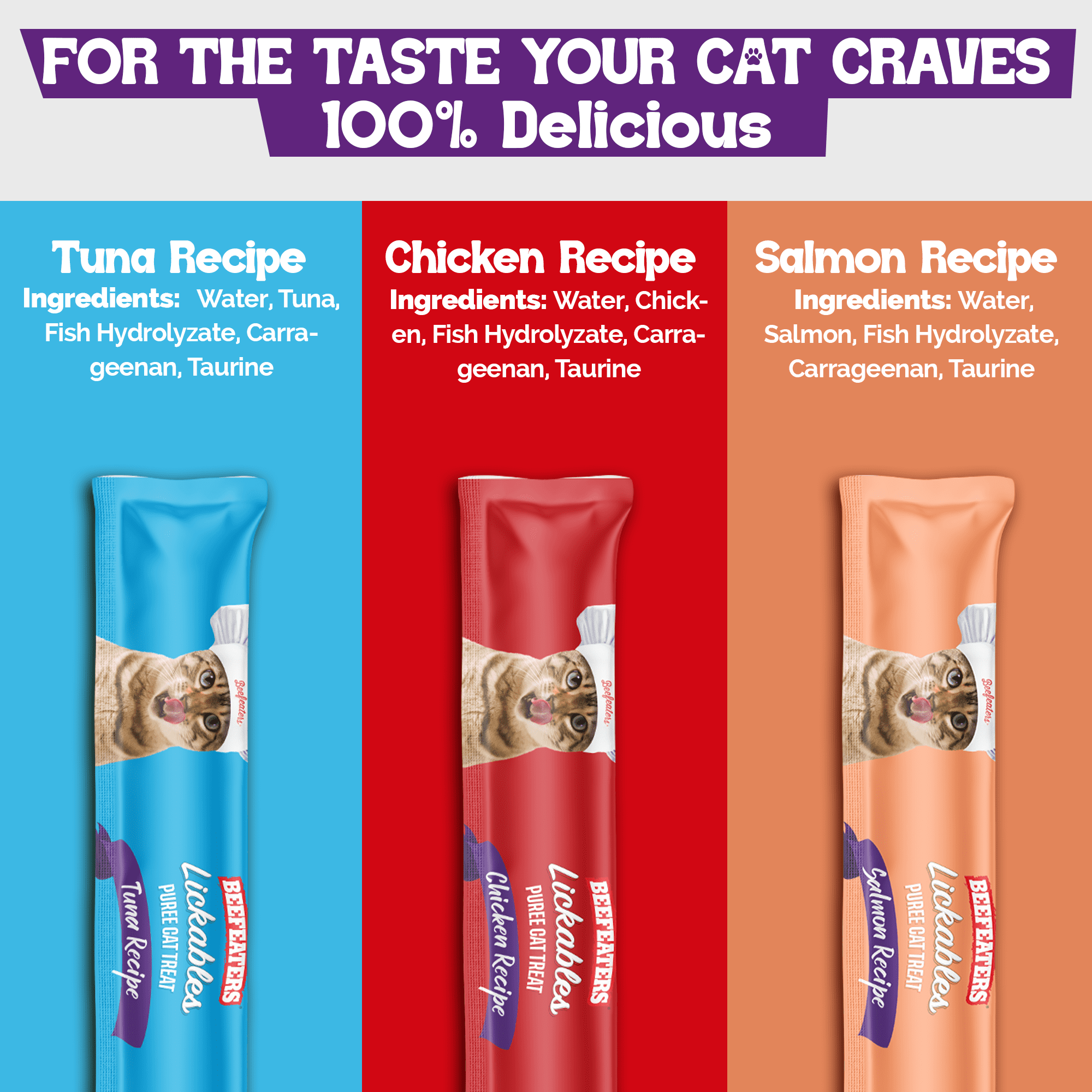 Beefeaters Wet Cat Treats Lickable 48ct Puree Variety Pack - Salmon Tuna Chicken for Hydration & Training, Grain Free Taurine Enriched High Moisture, Lickable Cat Treats & Everyday Treating