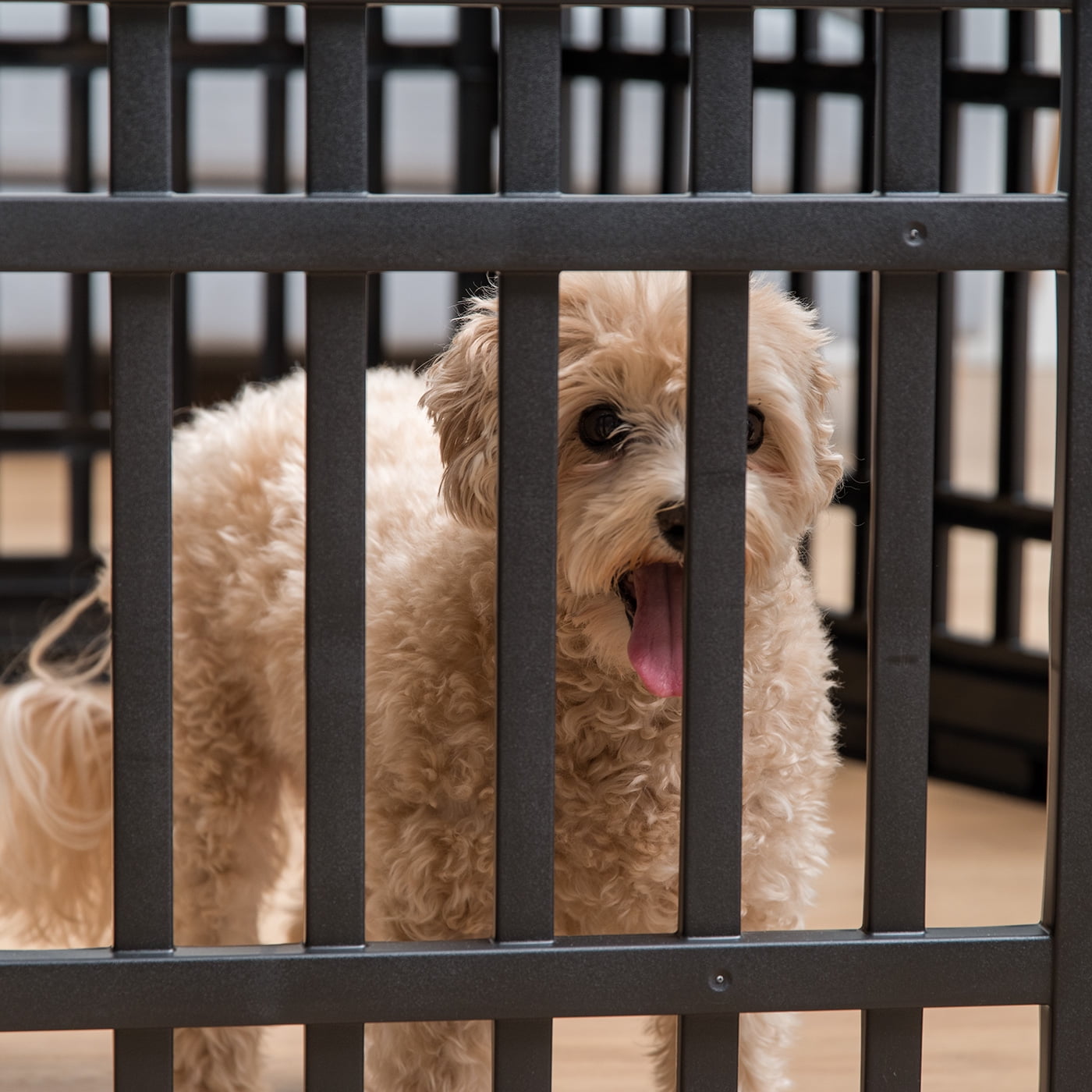 IRIS Dog Playpen, 6-Panel 24" Pet Playpen, Puppy Playpen, Indoor/Outdoor Dog Pen, 60 x 60 x 24, Foldable
