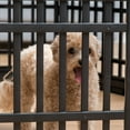 thumbnail image 3 of IRIS Dog Playpen, 6-Panel 24" Pet Playpen, Puppy Playpen, Indoor/Outdoor Dog Pen, 60 x 60 x 24, Folding, 3 of 5