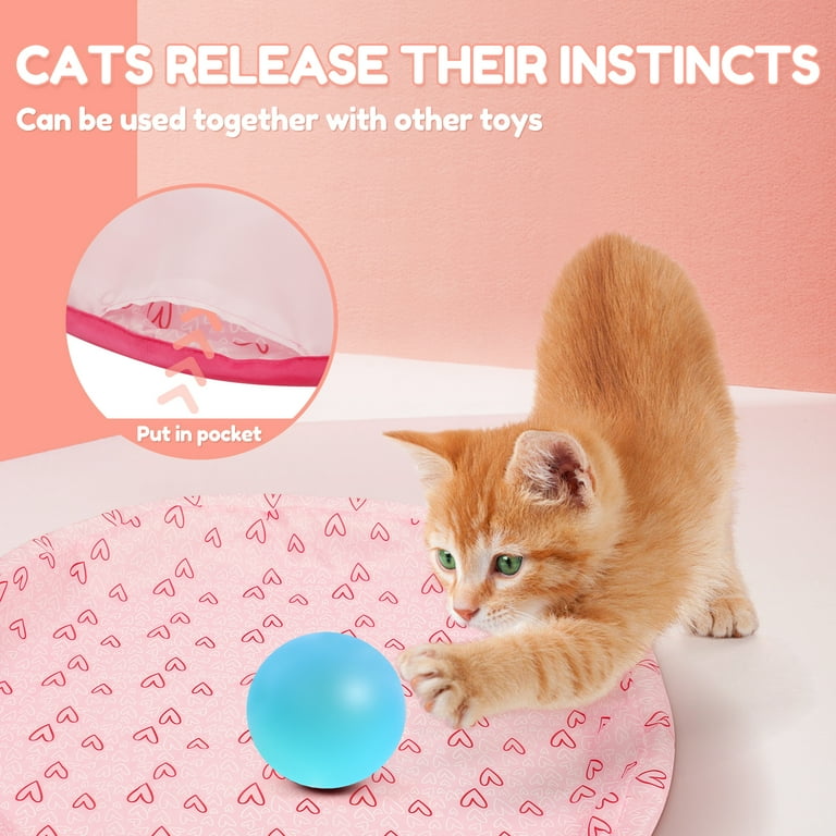2Pcs Interactive Cat Toys Ball Fast Rolling in Pouch Simulated Interactive Hunting Cat Toy Hide and Seek Kitten Wand Toy Motion Activate Cat Toy Hide