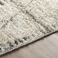 thumbnail image 3 of Surya Birch BHC-2302 30x96" Runner Global Microfiber Area Rug in Cream/Charcoal, 3 of 7