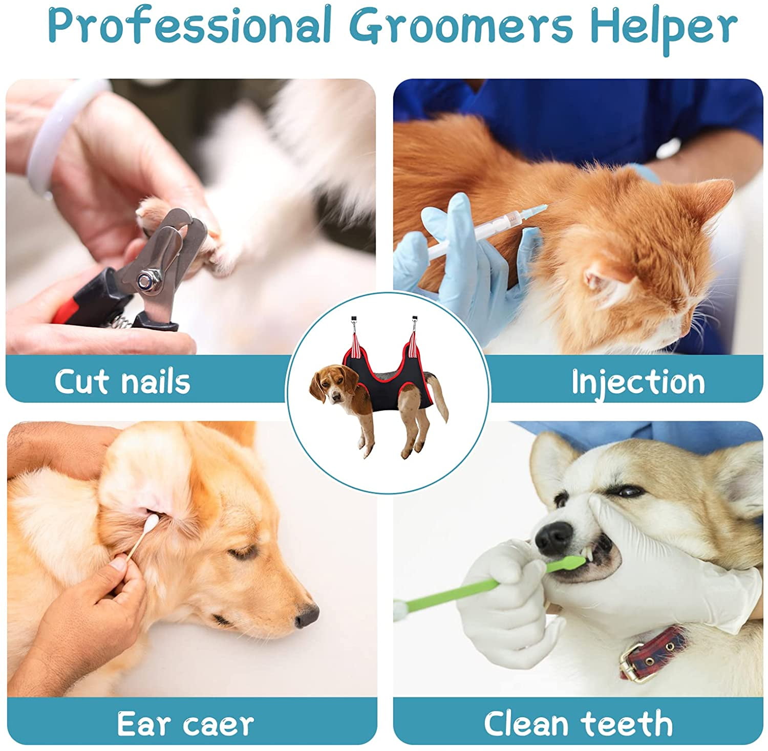 TOP 10 BEST Cheap Dog Nail Trim in San Diego, CA - Updated 2024 - Yelp