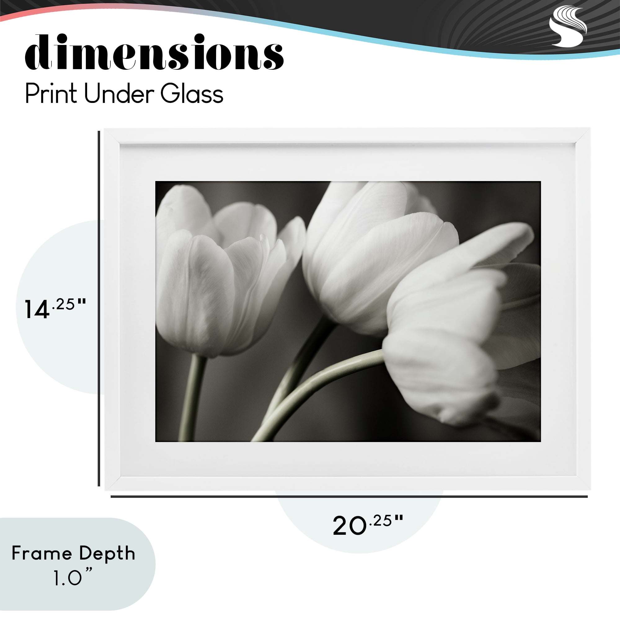 Stupell Industries Row Of Monochrome Tulips White Framed Print Under Glass, design by Tom Quartermaine