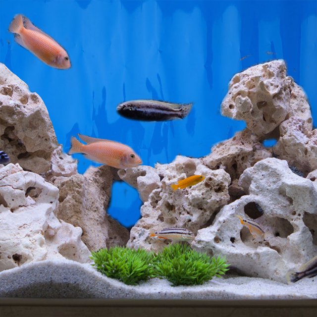 GAXIRE Aquarium Background Paper Blue Double Sided Fish Tank Wallpaper Durable Stylish