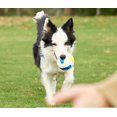 thumbnail image 4 of Juguete para perros de voleibol de látex, pelota con dientes sonoros, juguete para mascotas (grande) Rojo Verde, 4 of 5