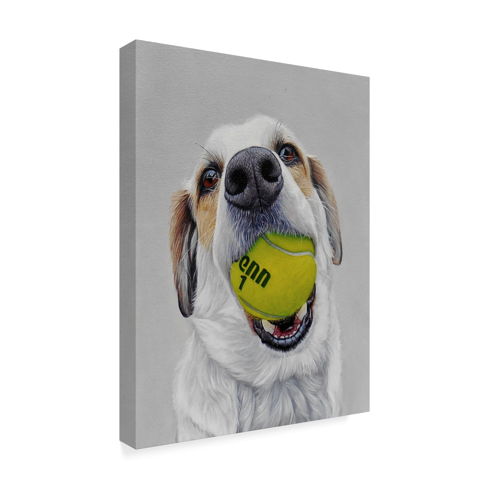 Trademark Fine Art 'Penn' Canvas Art by James Ruby