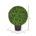 thumbnail image 5 of Pemberly Row 24" Contemporary Plastic Artificial Boxwood Ball in Green, 5 of 8