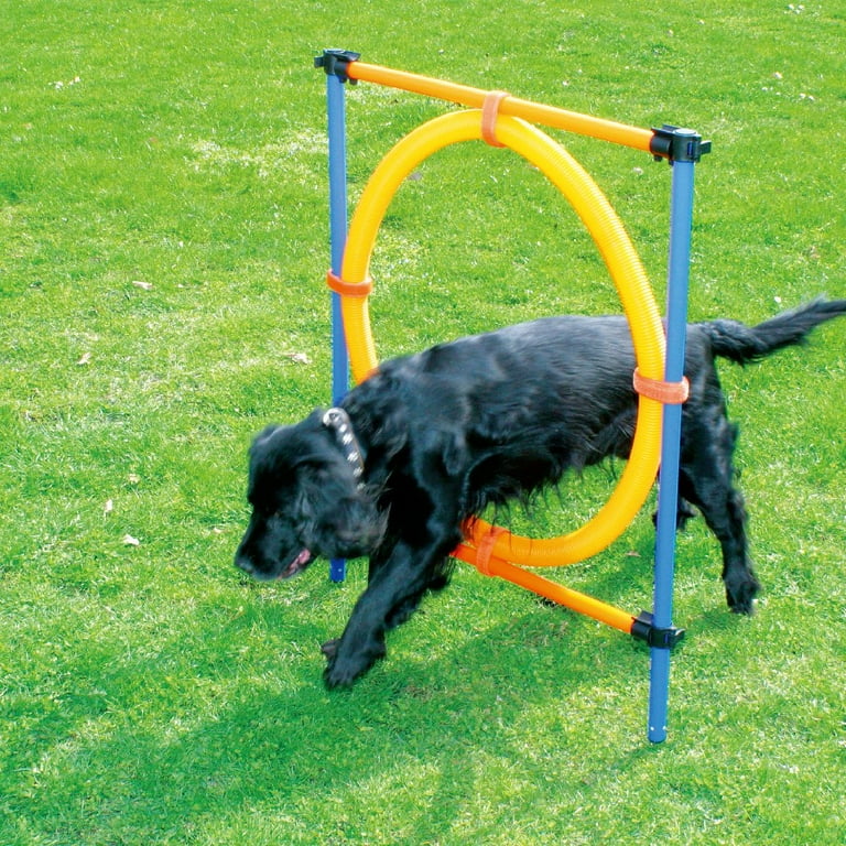 PAWISE Dog Training Exercise Equipment,Dog Agility Training Equipment,12pcs  Weave Poles Playground Equipment Outdoor