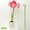 B, variant on 6 Pack Plant Support Stakes, Upgraded Plant Stake for Indoor Plants, Flower Sticks Orchid Stakes Plant Sticks Support for Peony Tomato Rose