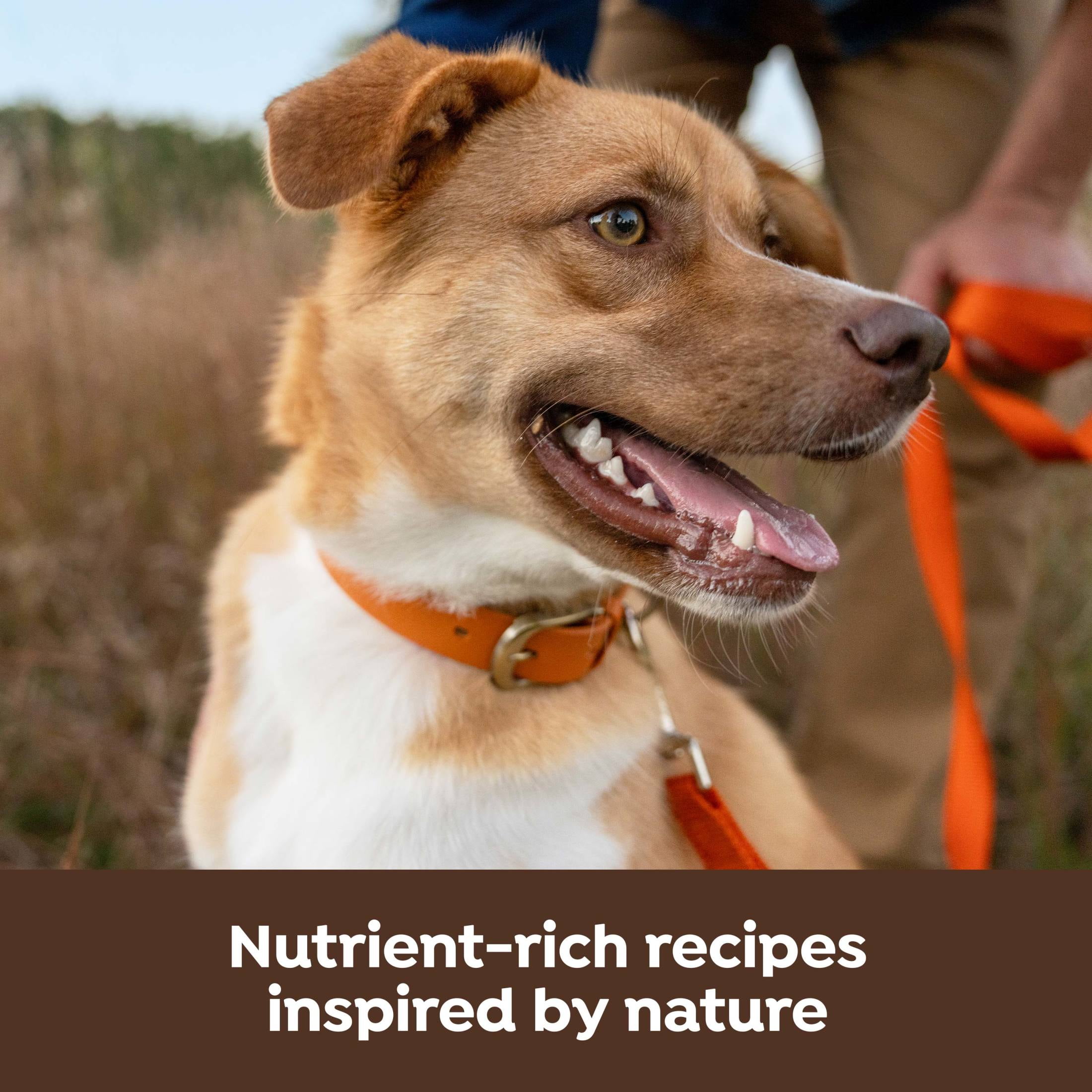 Nature’s Recipe Freeze Dried Chicken, Barley & Brown Rice Dog Food 10.5 lb Bag
