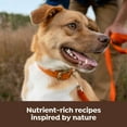 thumbnail image 6 of Nature’s Recipe Freeze Dried Chicken, Barley & Brown Rice Dog Food 3.5 lb Bag, 6 of 12