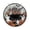 A004- Multicolor, variant on Halloween Hanging Wall Decor Single Acrylic Sparkly Ornament for Front Door and Window