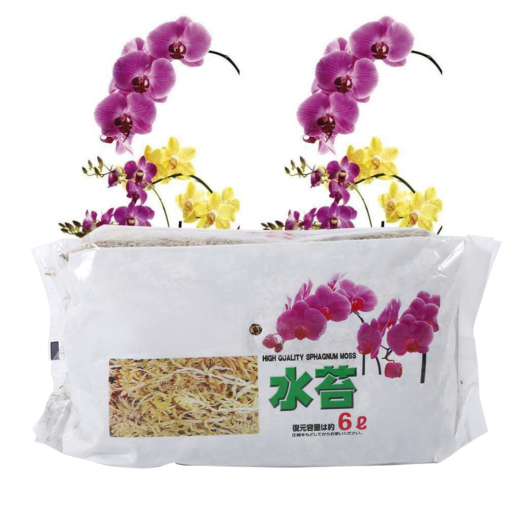 6L Sphagnum Moss Moisturizing Organic Fertilizer for Orchid Phalaenop B OQF 