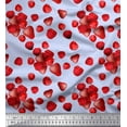 thumbnail image 1 of Soimoi Japan Crepe Satin Fabric Raspberry,Strawberry & Cherry Fruits Print Sewing Fabric Yard 42 Inch Wide, 1 of 3
