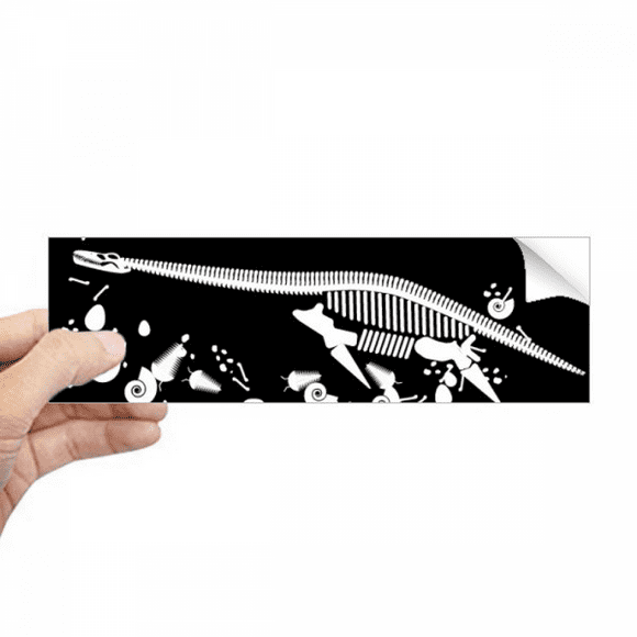 dinosaur b bs small rectangle bumper sticker notebook window decal