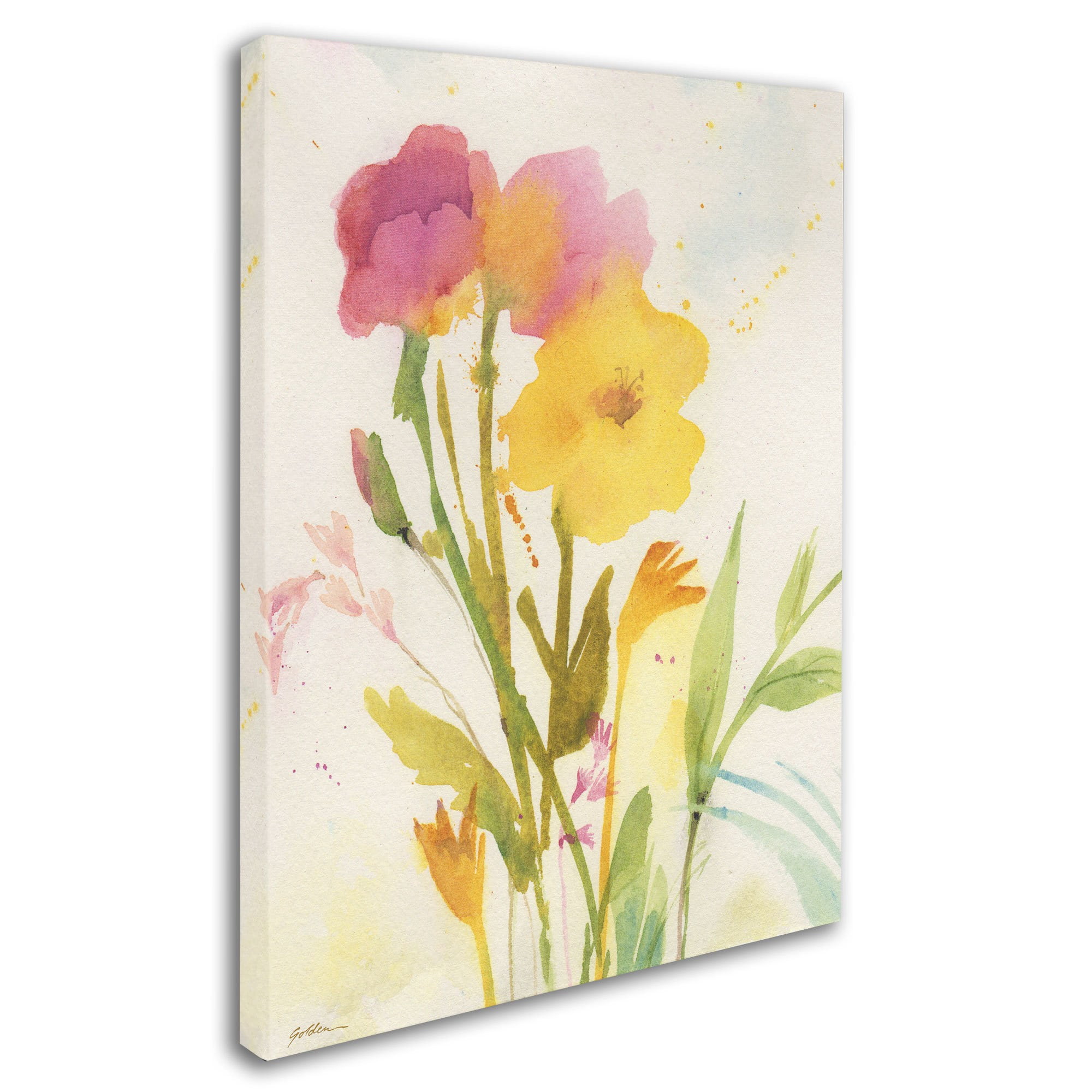 Trademark Fine Art "Wildflowers Against the Sky" Canvas Art by Sheila Golden