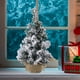 thumbnail image 4 of Adornos navideños, mini árbol de Navidad, mini pino, cepillo para botellas, árbol artificial con base de madera para decoración de mesa, árboles de Navidad., 4 of 6