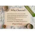 thumbnail image 3 of 50 Unscented Charcoal Incense Cones 1" TOPFLOW - 100% Natural Blanks - Great for DIY Aromatherapy Incense Making, Burner and Holder, 3 of 7