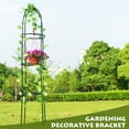 thumbnail image 1 of Gardening Plant Stand Rack Flower Display Climbing Vine Holder Outdoor Indoor, 1 of 6