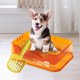 thumbnail image 1 of Bandeja de Baño para Perros Fernando Naranja Orinal, 1 of 8