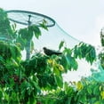 thumbnail image 3 of Green Bird Nets Protect Plants Fruits Vegetables Flowers Plants Trees Fences Ponds Durable Nets Prevent Birds Deer and Animals, 3 of 7