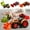 A627 kids toys clearance under 5$, variant on CQCYD Clearance Toys under $5 Friction Powered Cars Push and Go Cars Toy Farm Trucks Vehicle Tractor with Trailers,Agricultural Vehicles Toys,Party Favors for Boys Girls