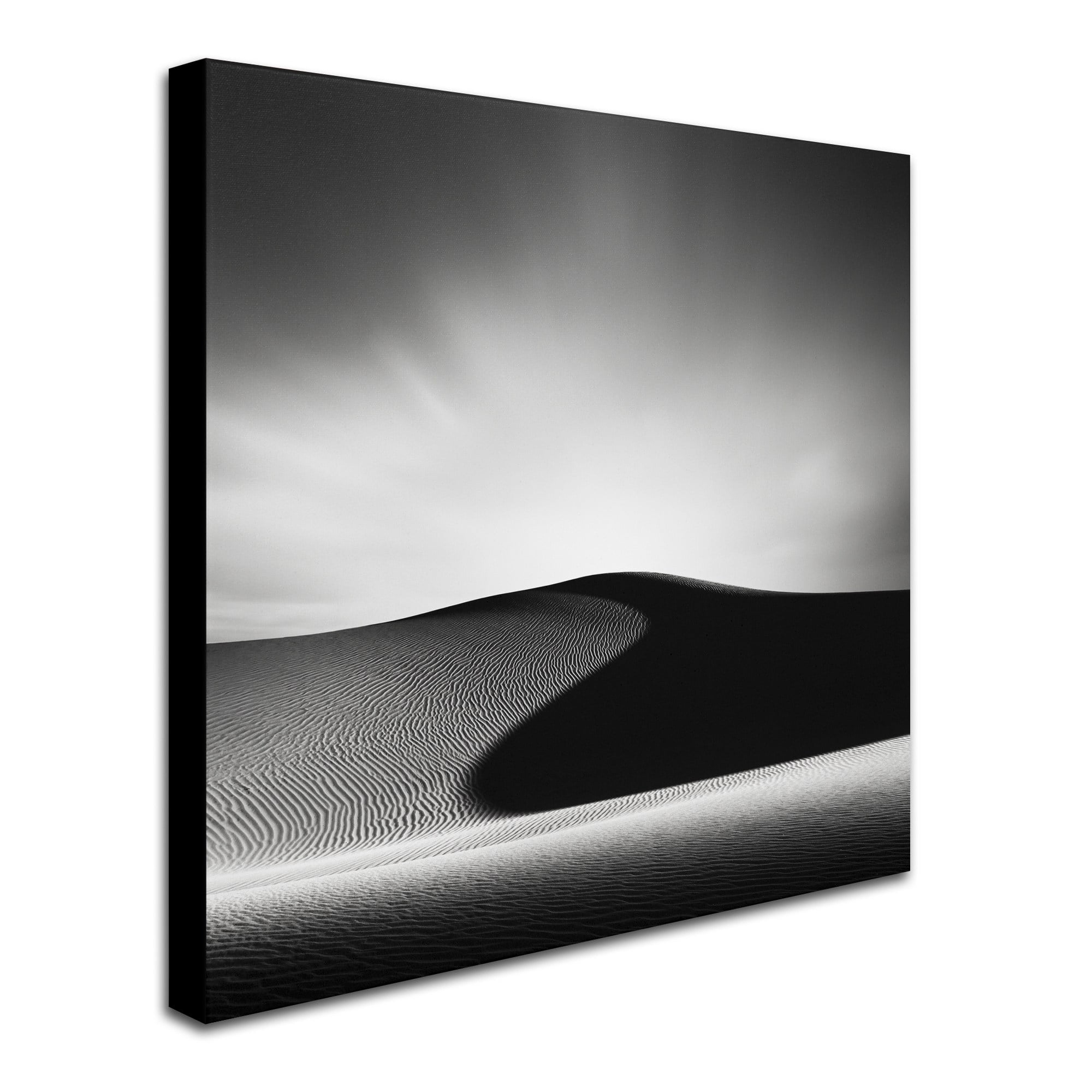 Trademark Fine Art Dave MacVicar 'Dark Shadows' 18 x 18 (ALI0869-C1818GG)