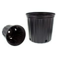 thumbnail image 2 of 2.5 Gallon, Black (Trade) Nursery Container, 50 Each, 2 of 2