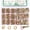 566Pcs 1/4-20 5/16-18 3/8-16, variant on 566Pcs Heavy Duty Bolts and Nuts Assortment Kit, Grade 8 Hex Screws Bolts Nuts Kit, 1/4-20 5/16-18 3/8-16, 15 Common Sizes Included