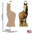 thumbnail image 5 of Horse, 5 of 5