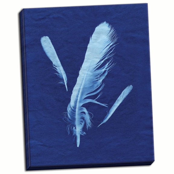 Gango Home Decor Contemporary Indigo Feather II by Monika Burkhart (Ready to Hang); One 22x28in Hand-Stretched Canvas