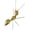 Ant, variant on Gold Butterfly Figurine Home Decor, Solid Metal Butterfly Centerpiece Decoration, Mini Insect Ornament Animal Desk Figurines for Home Office Desktop