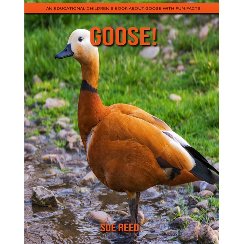 Goose! An Educational Children's Book about Goose with Fun Facts