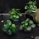 thumbnail image 5 of 8pcs Aquarium Plantas artificiales High Simulation Agua de agua Decoración de paisajes submarinos para peces, 5 of 5
