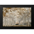 thumbnail image 2 of Frank, Assaf 14x11 Black Modern Framed Museum Art Print Titled - White Gold, 2 of 5