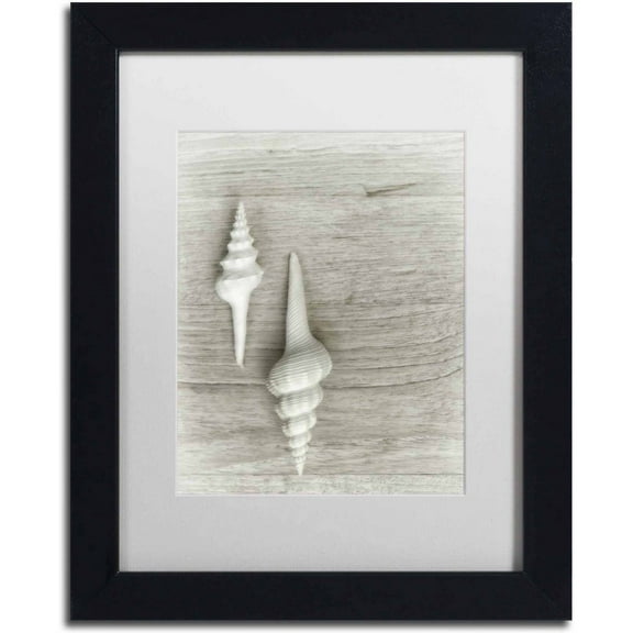 Trademark Fine Art 'Two White Shells' Canvas Art by Cora Niele, White Matte, Black Frame