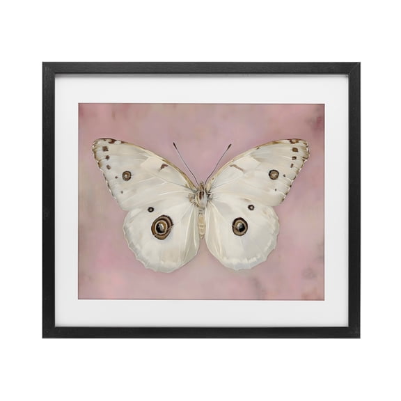 Stupell Industries Cottage Gossamer Butterfly on Blush Background Black Framed Print Under Glass, 16 x 13, by Arlington Prints
