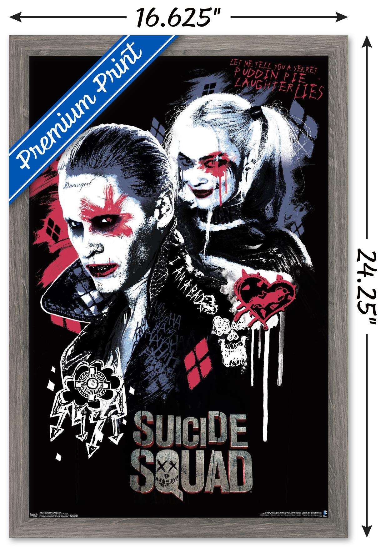 DC Comics Movie - Suicide Squad - Twisted Love Wall Poster, 14.725" x 22.375", Framed