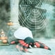 thumbnail image 2 of Halloween De Araña Inflables De Halloween A Prueba De Agua Con Luz Para Jardín Y Césped Moyic HA043949-02, 2 of 6