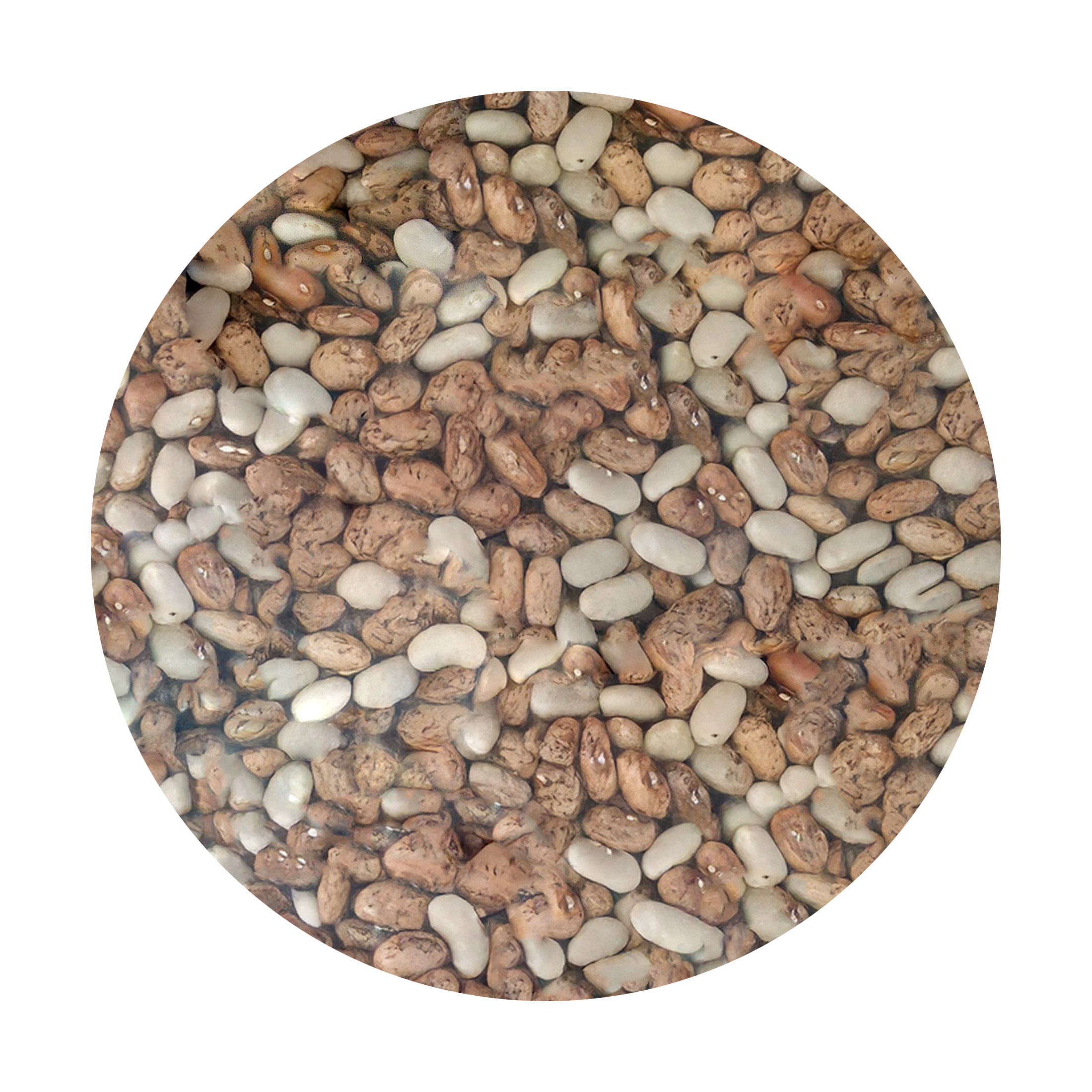 Silers Selected Beans Dried Mixed Beans, 32 oz
