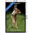 thumbnail image 3 of Célèbre chaton accroché là-bas Poster, 3 of 5