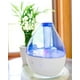 thumbnail image 2 of Humidificador Crane Personal Ultrasonic Cool Mist 1.5L 8h, 2 of 7