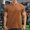 Brown, variant on Mens Short Sleeve T Shirts T-Shirts for Man Cotton Summer Shirts for Men Beach Hawaiian Shirt for Men Cotton Large Get it Fast