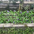 thumbnail image 3 of Expandable Fence Privacy Screen Eco-friendly Easy Installation Plants For Garden Fence Hedges, 3 of 5