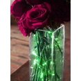 thumbnail image 4 of BalsaCircle 7.5 feet Green 20 LED Fairy Lights Garland Wedding Party Centerpieces Backdrop, 4 of 8