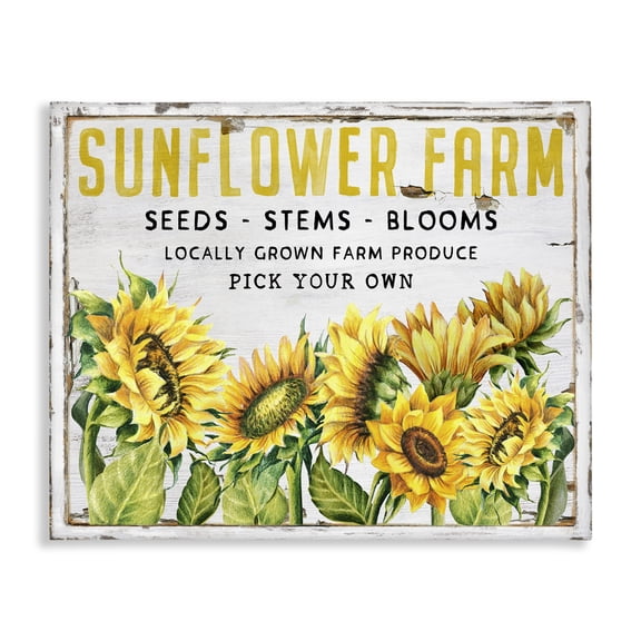 Stupell Industries French Country Antique Sunflower Seeds Canvas Art, 20 x 16, by Creatif Belle