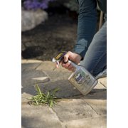 Roundup Extended Control Weed & Grass Killer Plus Weed Preventer II - Liquid - 24 oz